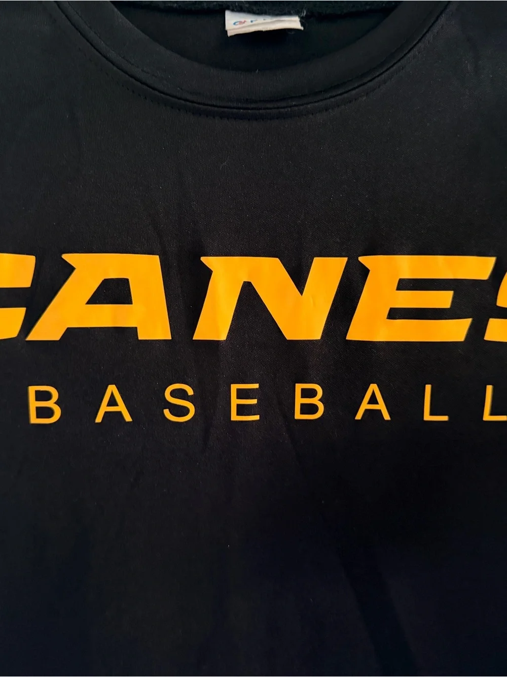 Canes Baseball Black T-Shirt with Gold Logo